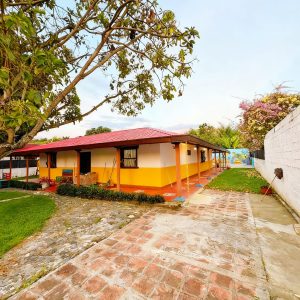#62 Rozo Valle